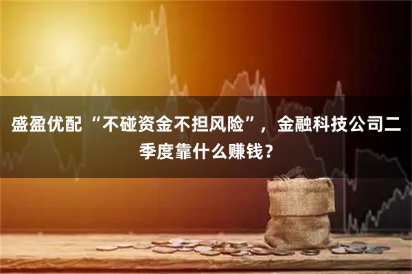 盛盈优配 “不碰资金不担风险”，金融科技公司二季度靠什么赚钱？