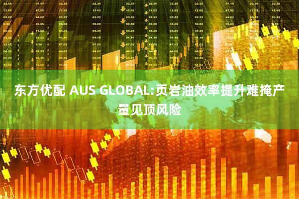 东方优配 AUS GLOBAL:页岩油效率提升难掩产量见顶风险
