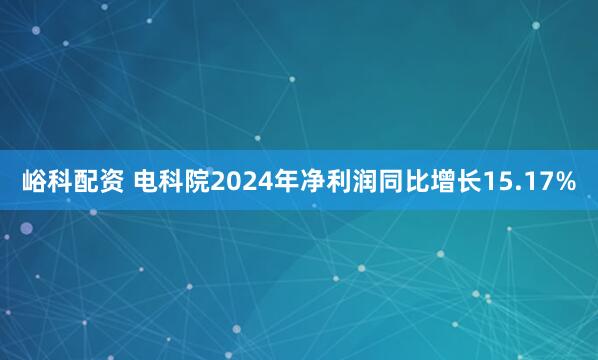 峪科配资 电科院2024年净利润同比增长15.17%