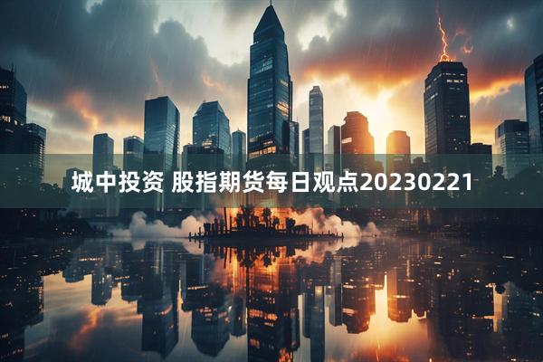 城中投资 股指期货每日观点20230221